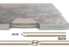 Large Hyundai Stripe Kit w/ 5/16" X 150' roll - 6 Hyundai logos avail in many colors